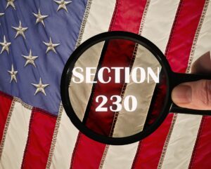 Section 230 of the Communications Decency Act – Chestertons View